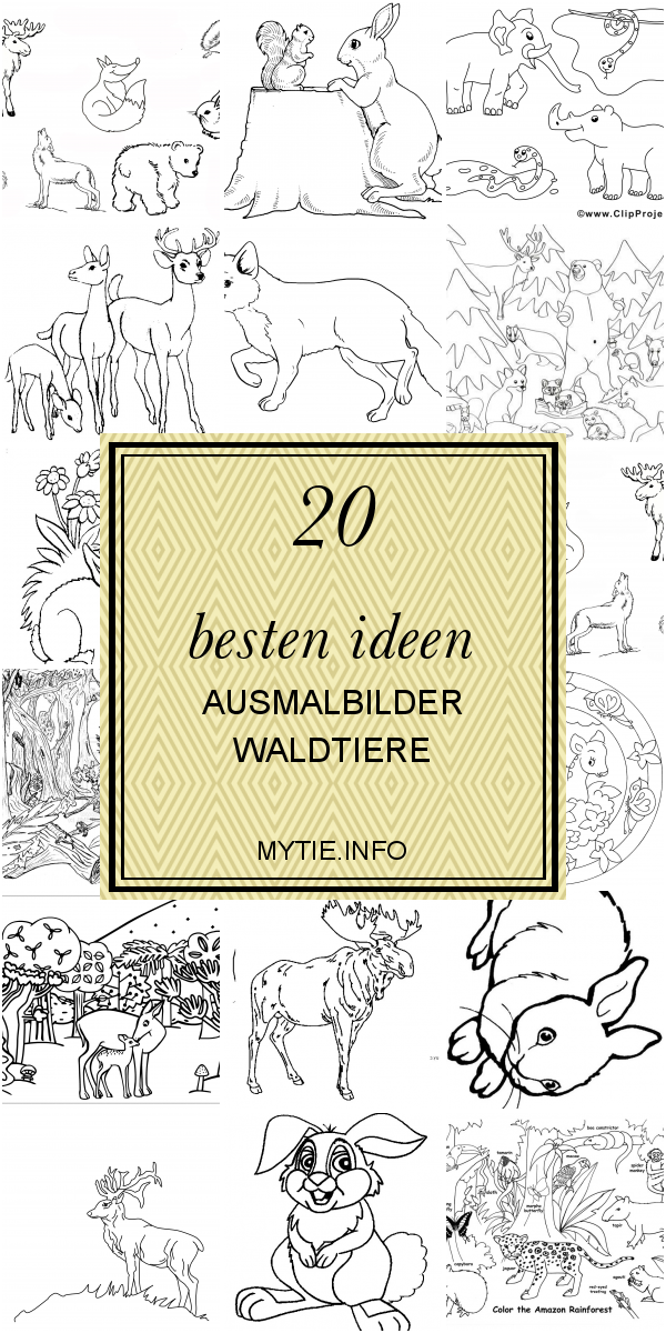 20 Besten Ideen Ausmalbilder Waldtiere